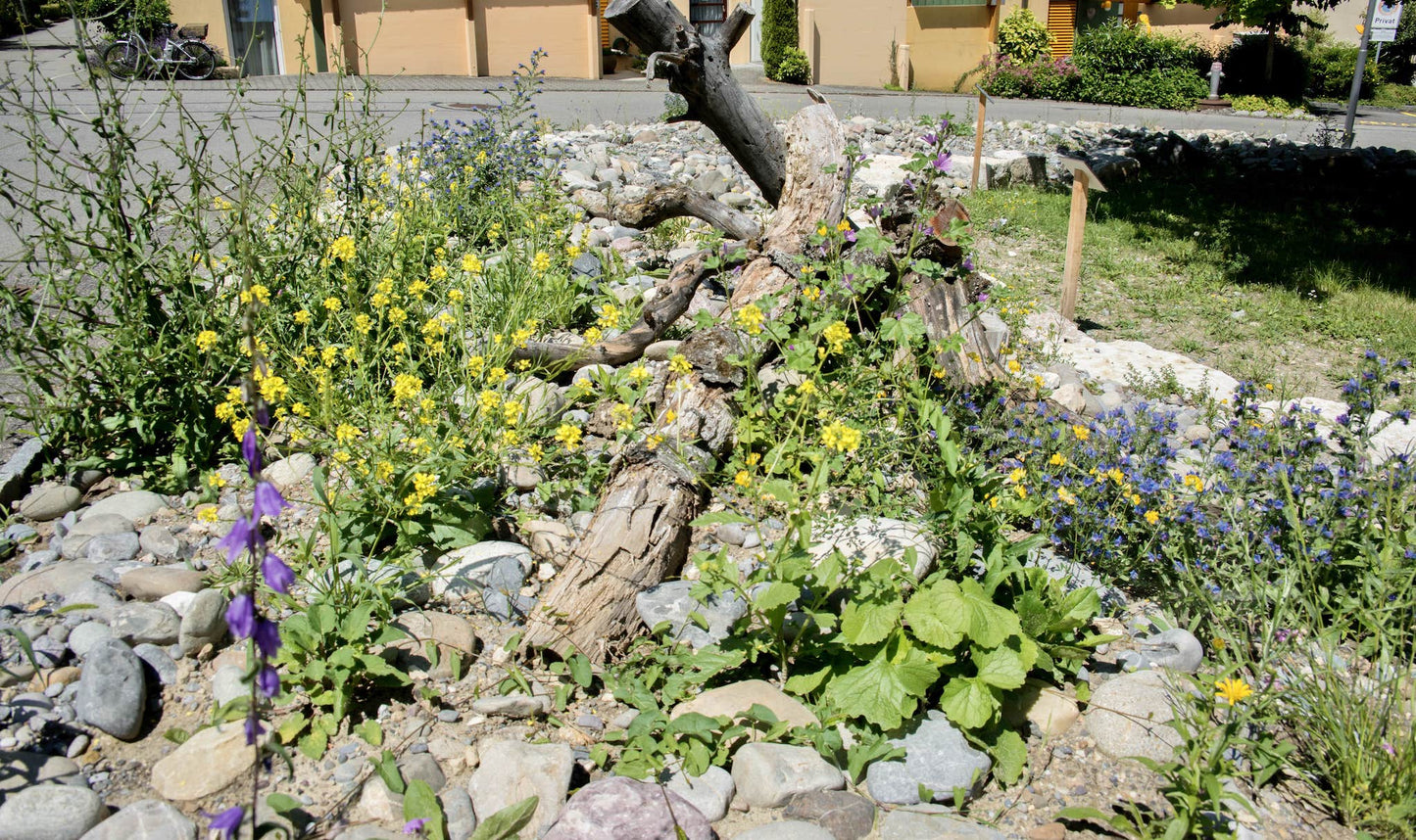 Experten fürchten Verlust der Biodiversität