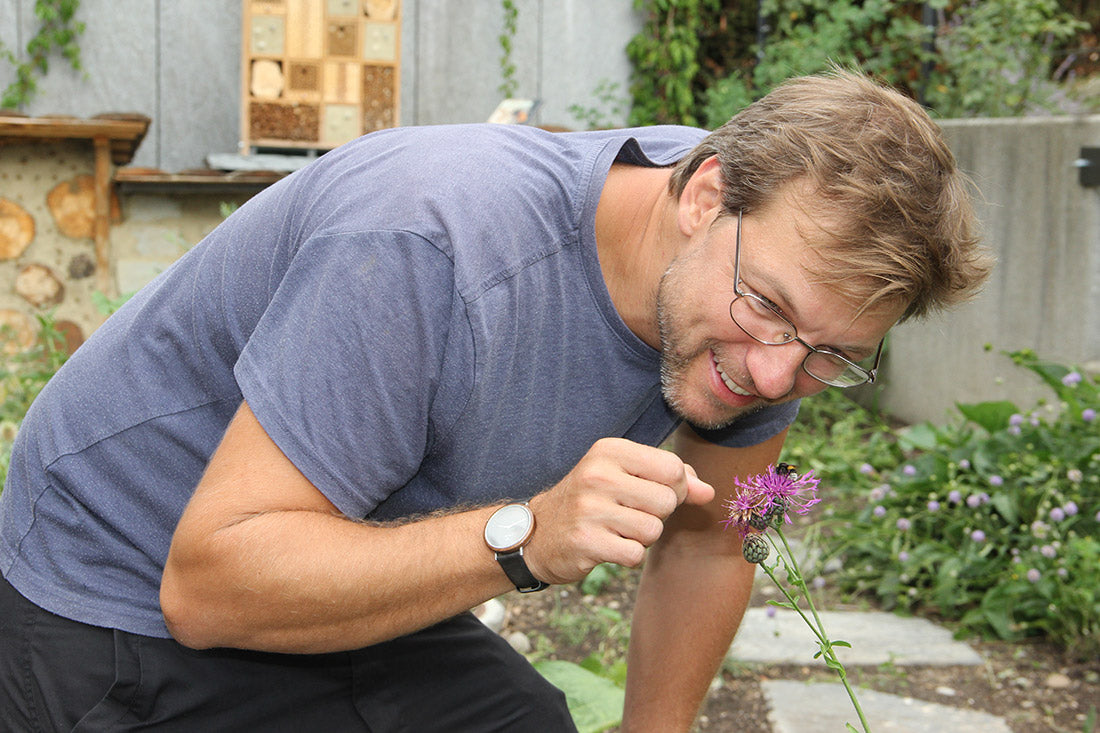 «Grüne Wüsten sind für Wildbienen nutzlos» - Interview mit Claudio Sedivy