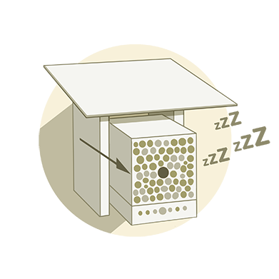 Hibernation