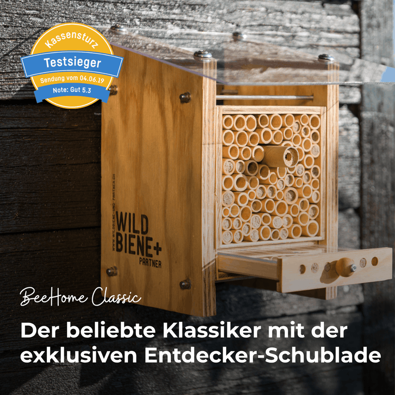 BeeHome Classique