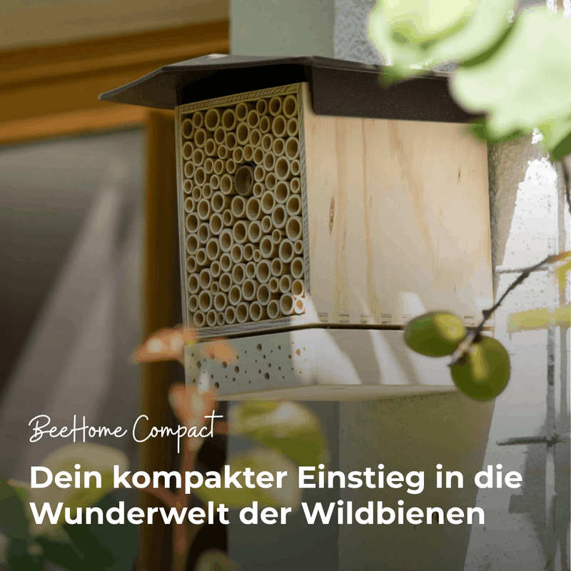 AbeilleHome One