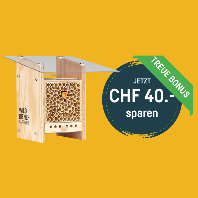 
                  
                    BeeHome Observateur
                  
                