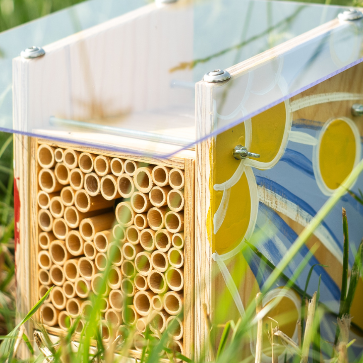 
                  
                    BeeHome Observateur
                  
                