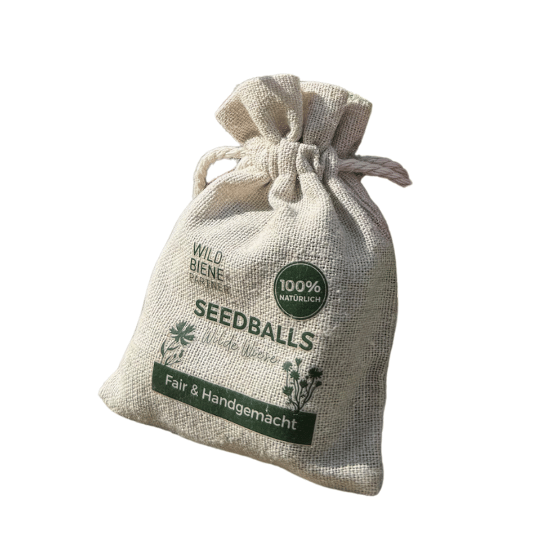 Boules de graines de fleurs sauvages