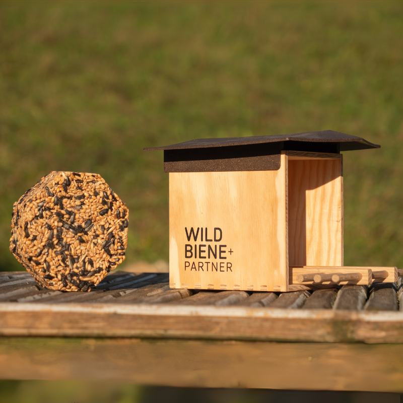 Nichoir BirdSnack