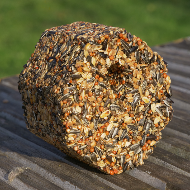 
                  
                    Recharge de nourriture pour oiseaux BirdSnack
                  
                