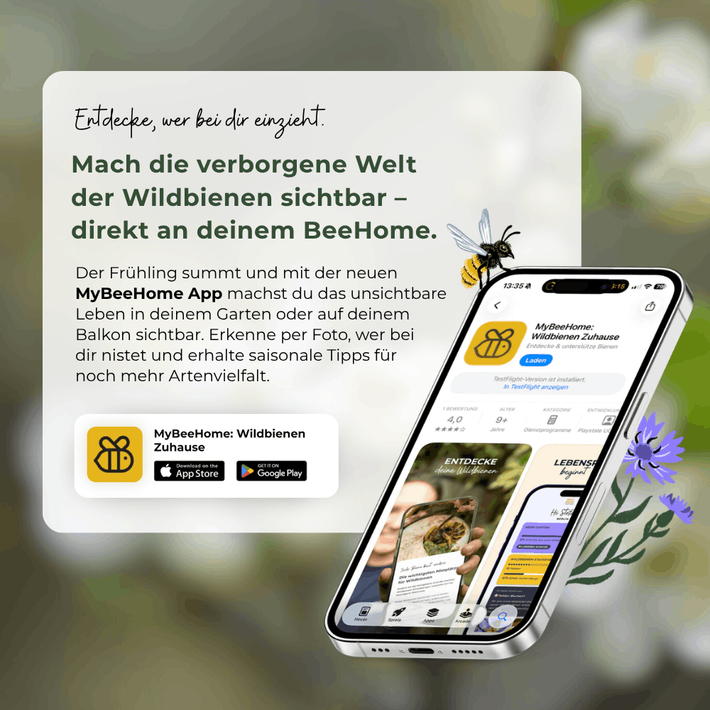 
                  
                    Bon pour des cocons d'abeilles maçonnes
                  
                