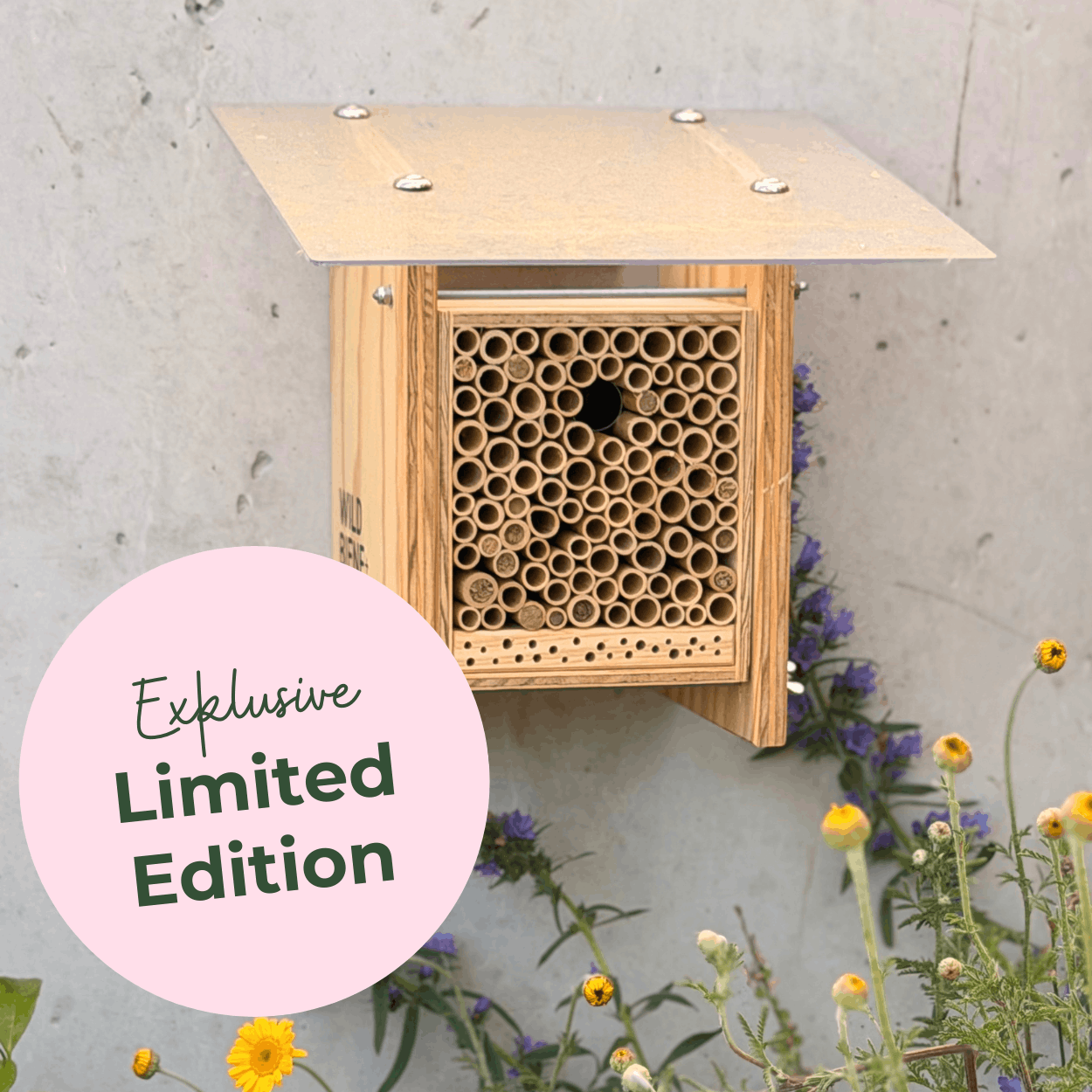 
                  
                    BeeHome Observateur
                  
                