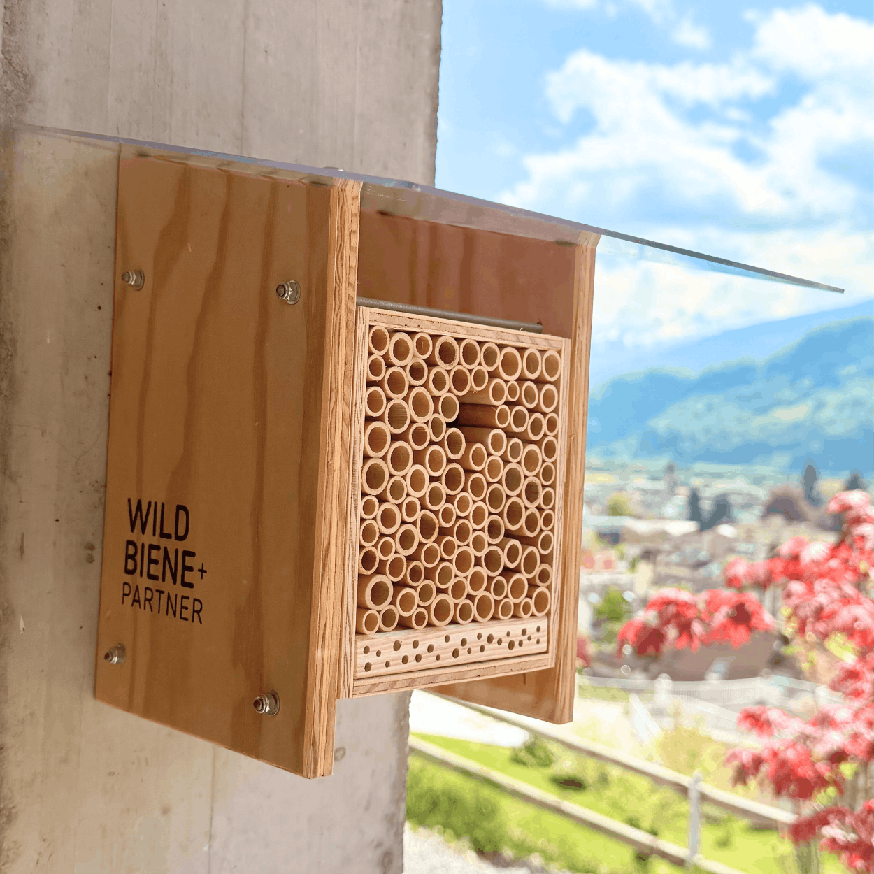
                  
                    BeeHome Observateur
                  
                