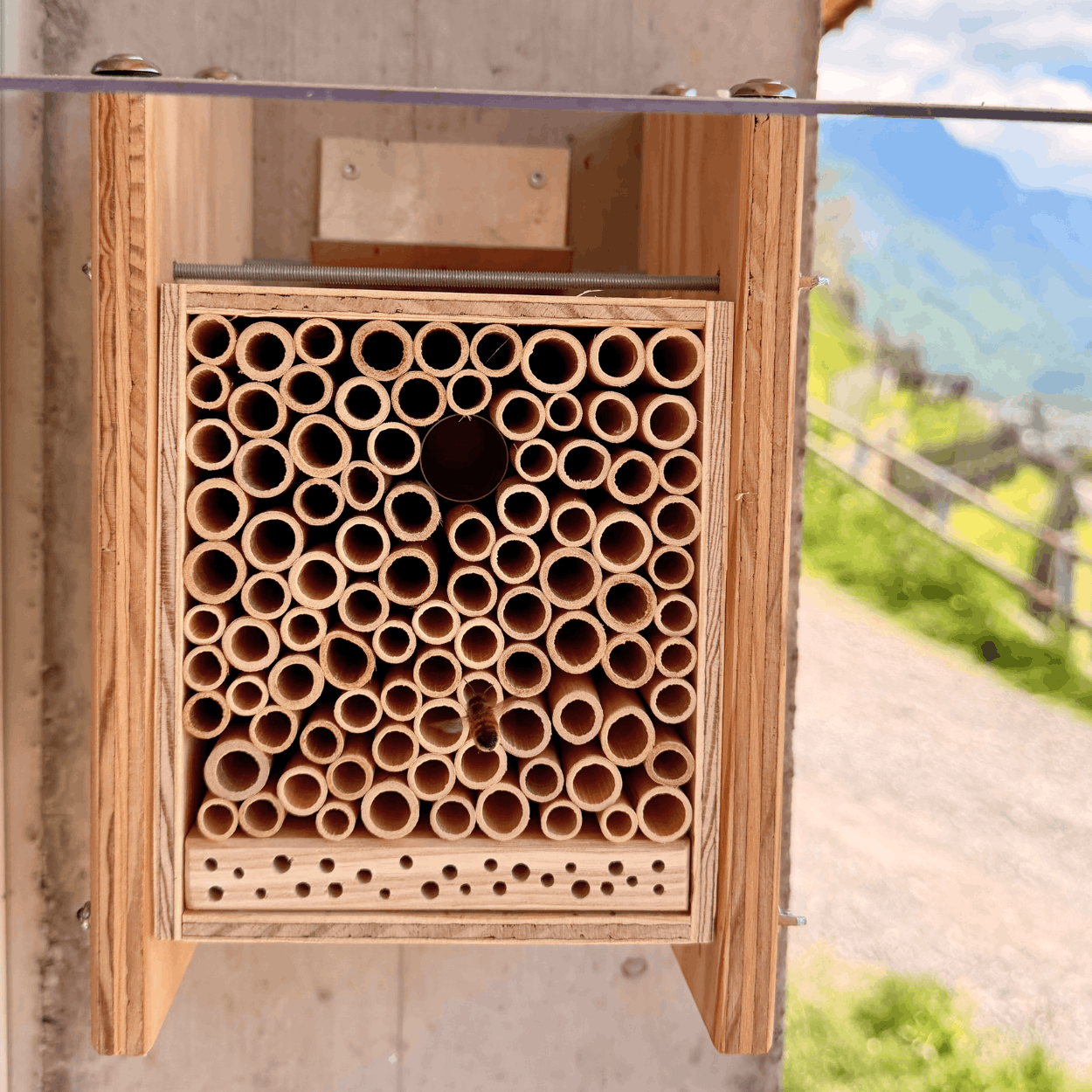 
                  
                    BeeHome Observateur
                  
                