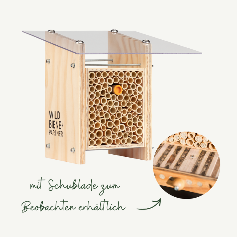 BeeHome Classique