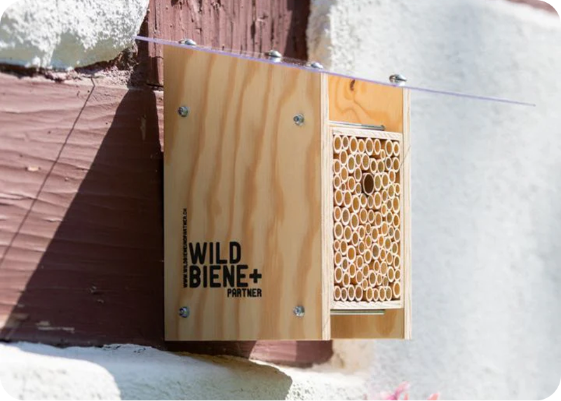 Wildbiene + Partner AG