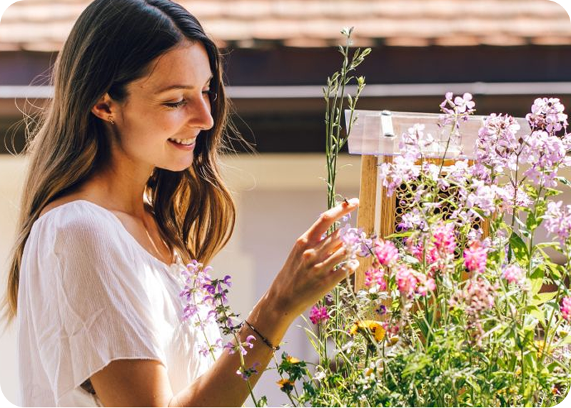 Wildbiene + Partner AG