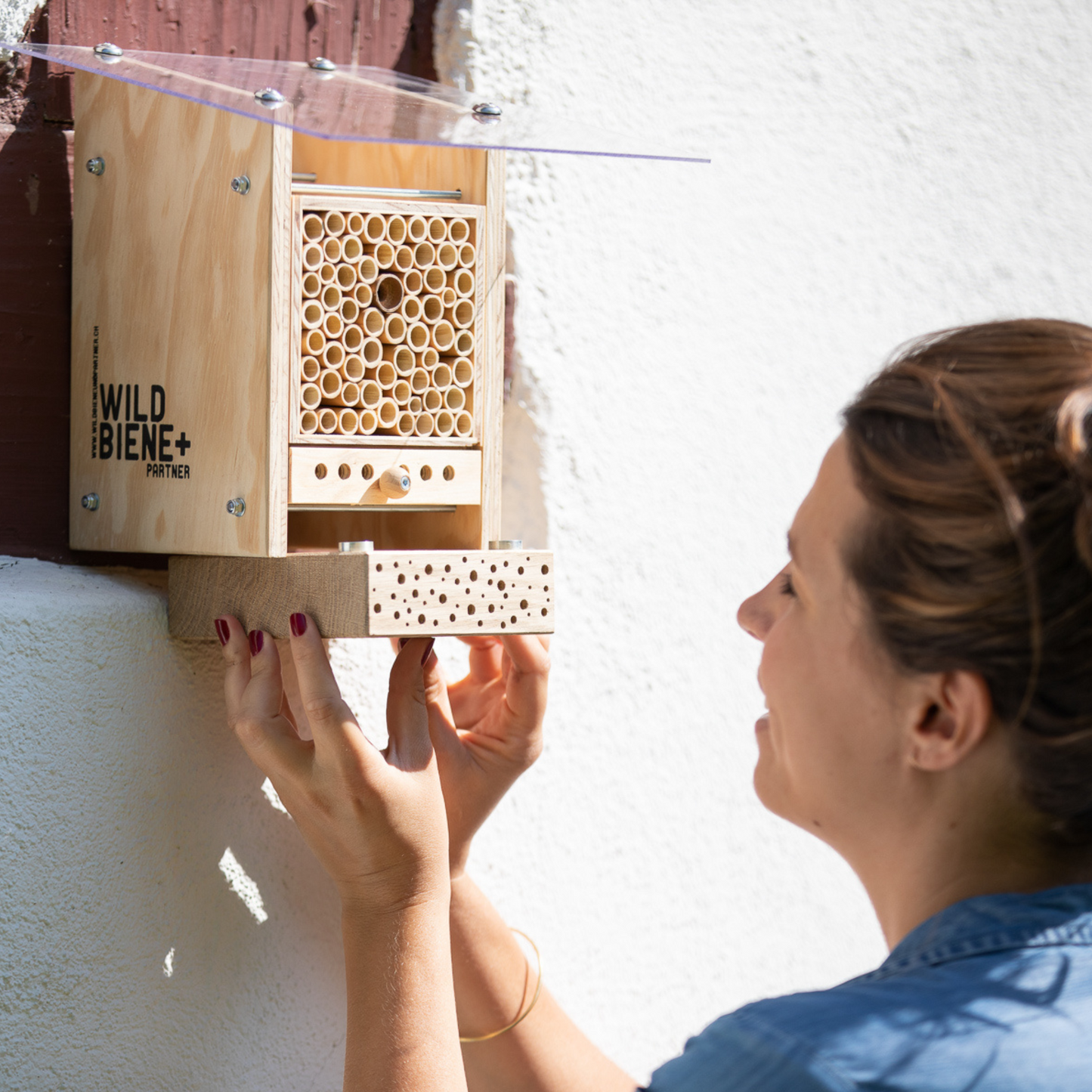 
                  
                    Kit BeeSummer : Nos best-sellers pour une biodiversité maximale
                  
                