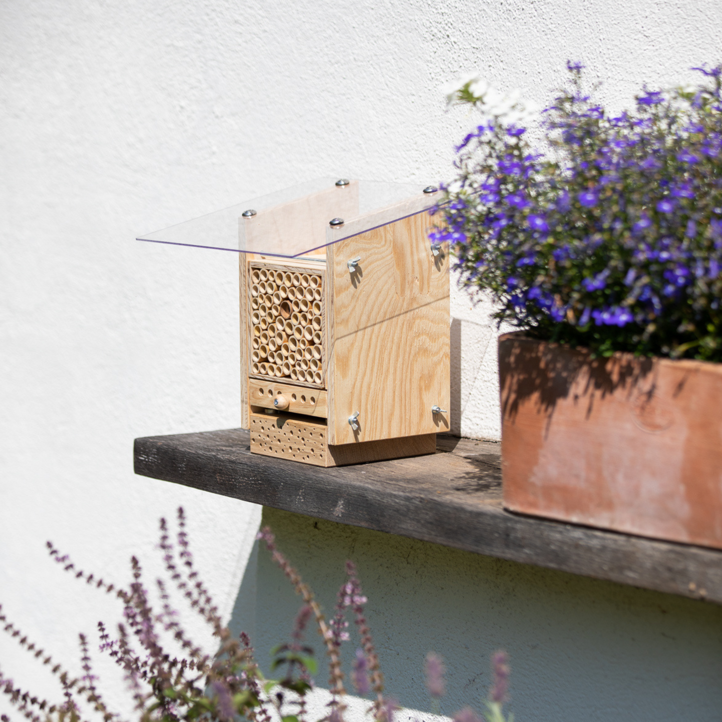 
                  
                    Kit BeeSummer : Nos best-sellers pour une biodiversité maximale
                  
                