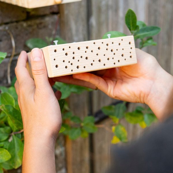 
                  
                    BeeSummer Bloc de nidification
                  
                