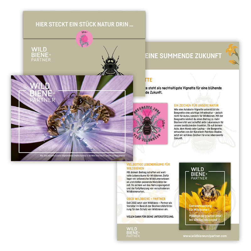 
                  
                    Beegnette 2026 - créer un espace de vie
                  
                