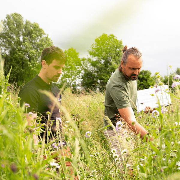 
                  
                    Beegnette 2026 - créer un espace de vie
                  
                