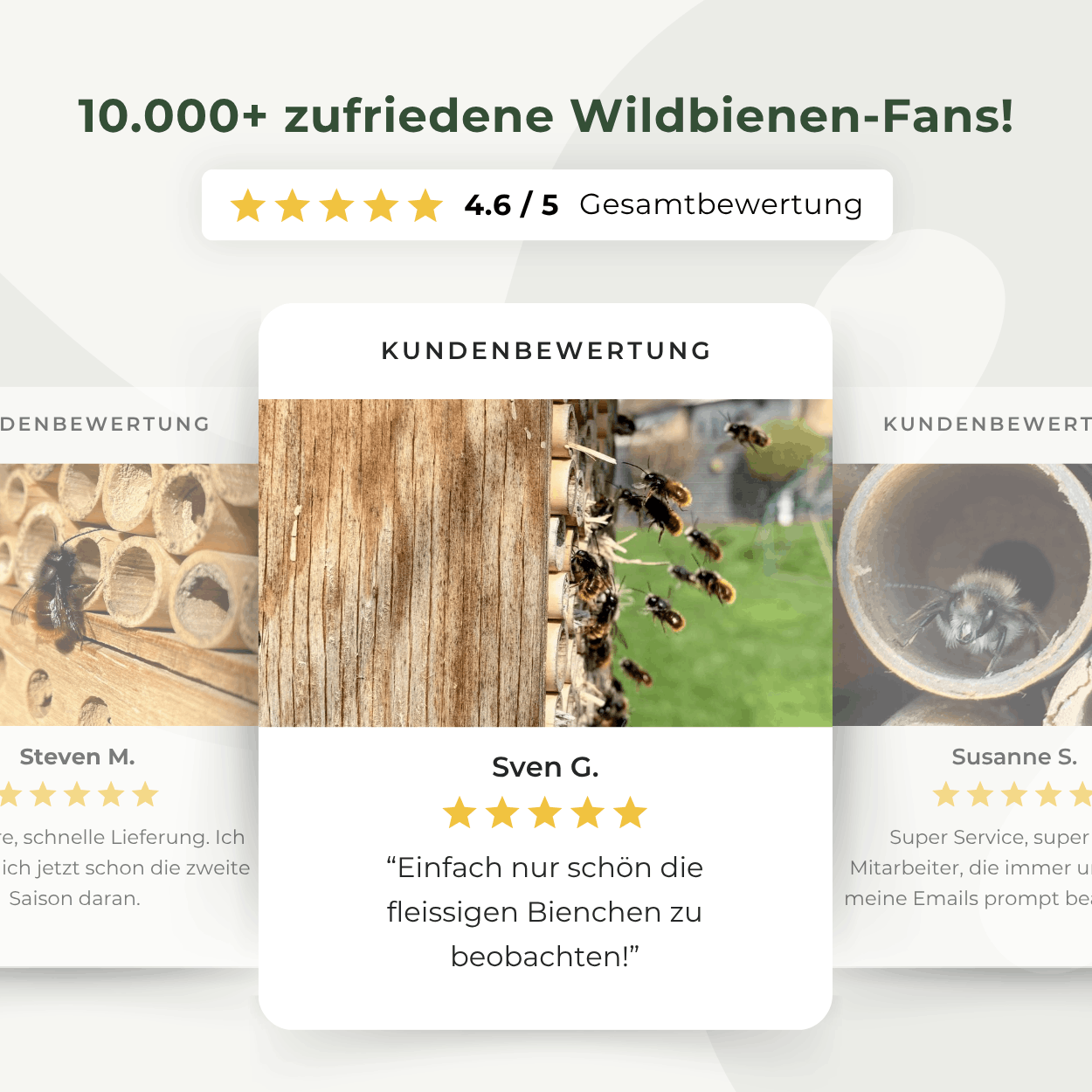 
                  
                    Kit BeeSummer : Nos best-sellers pour une biodiversité maximale
                  
                