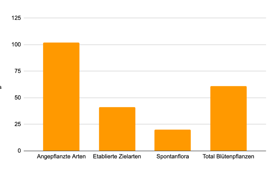 Wildbiene + Partner AG