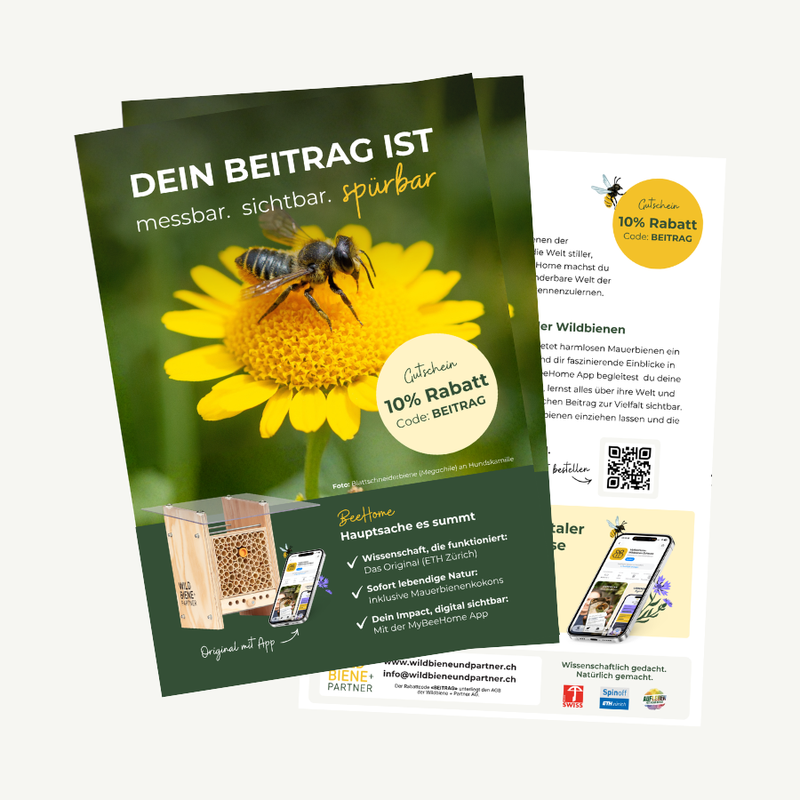 Flyer Ambassadeurs des Abeilles