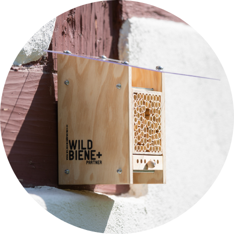 1. Installez votre BeeHome au bon endroit