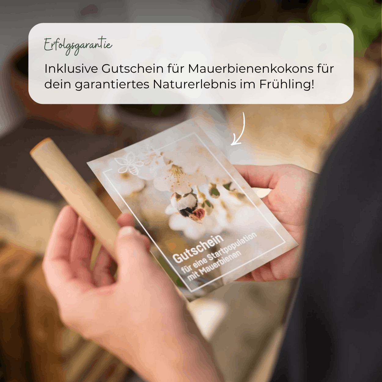 
                  
                    Kit BeeSummer : Nos best-sellers pour une biodiversité maximale
                  
                
