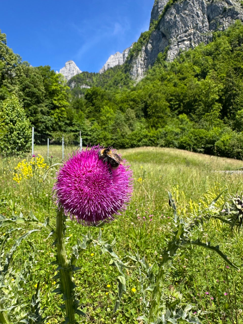 Innere Rüthi
