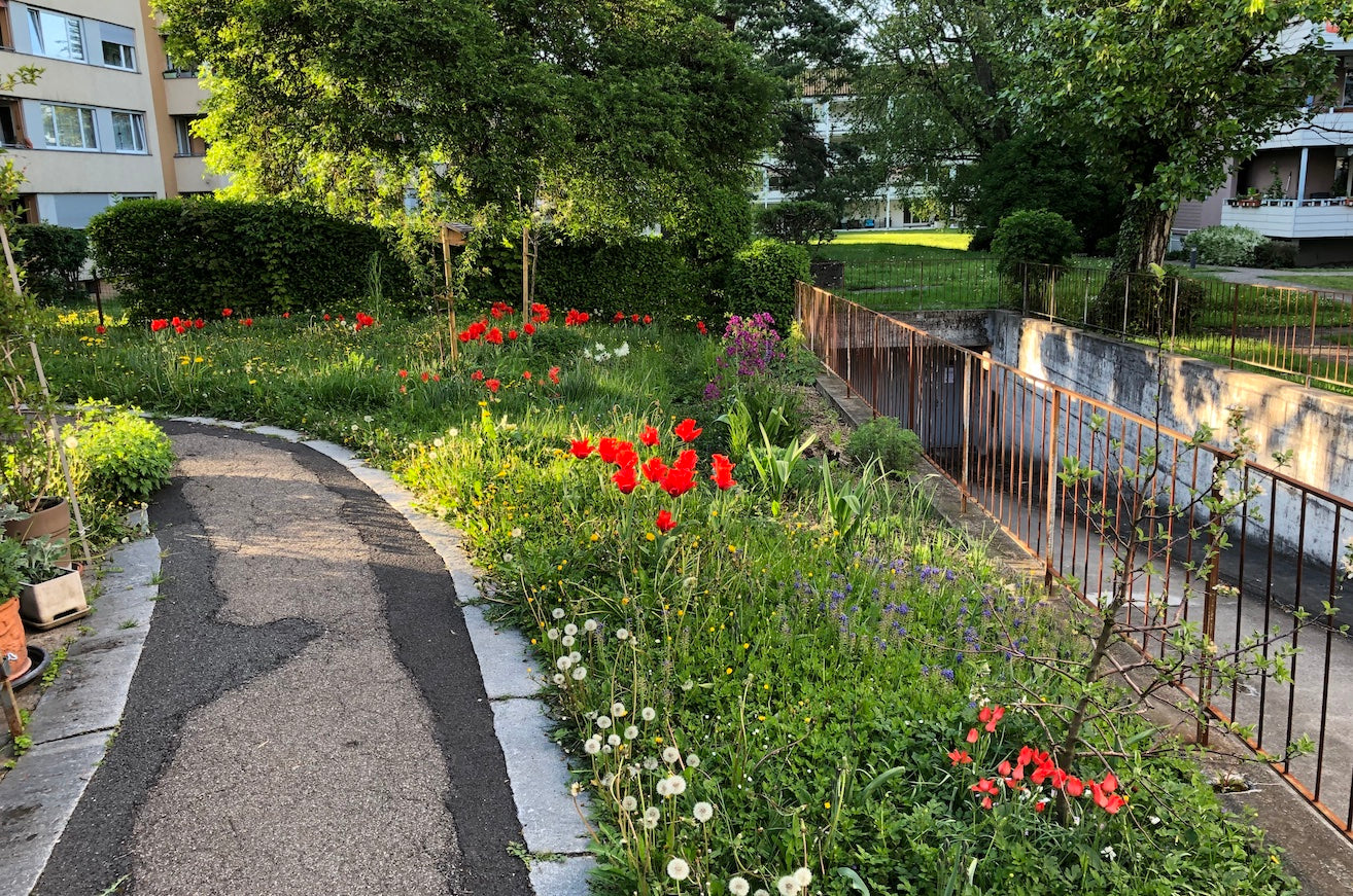 Wildbiene + Partner AG