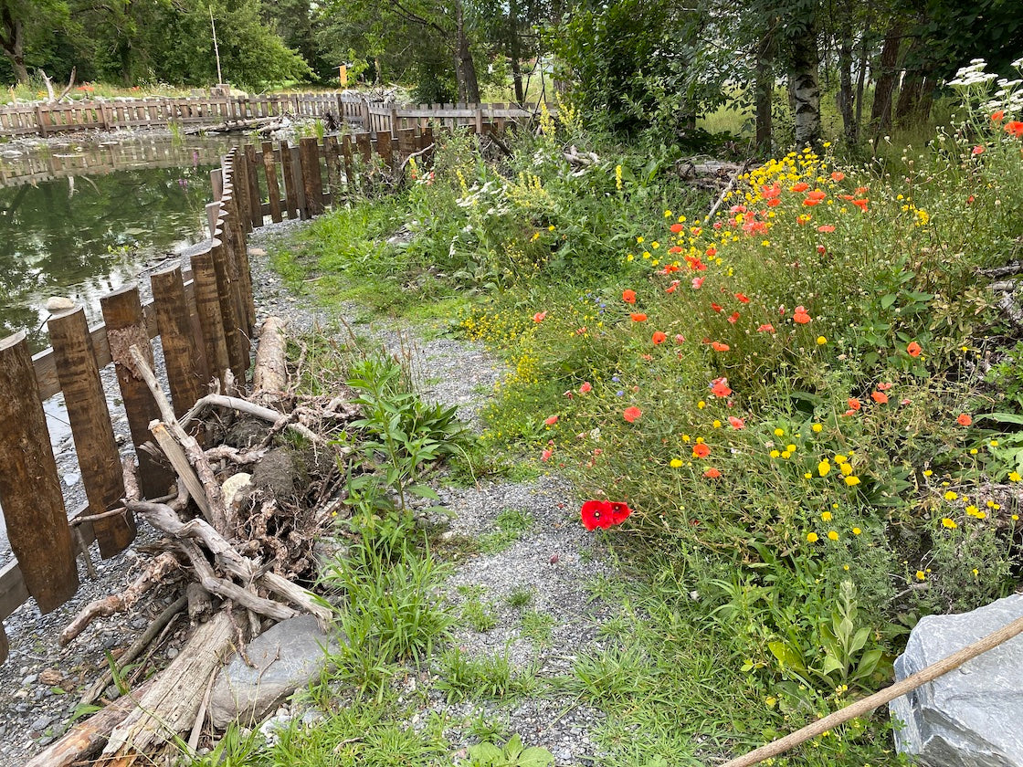 Wildbiene + Partner AG