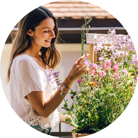 3. Offrez de la nourriture à vos abeilles sauvages