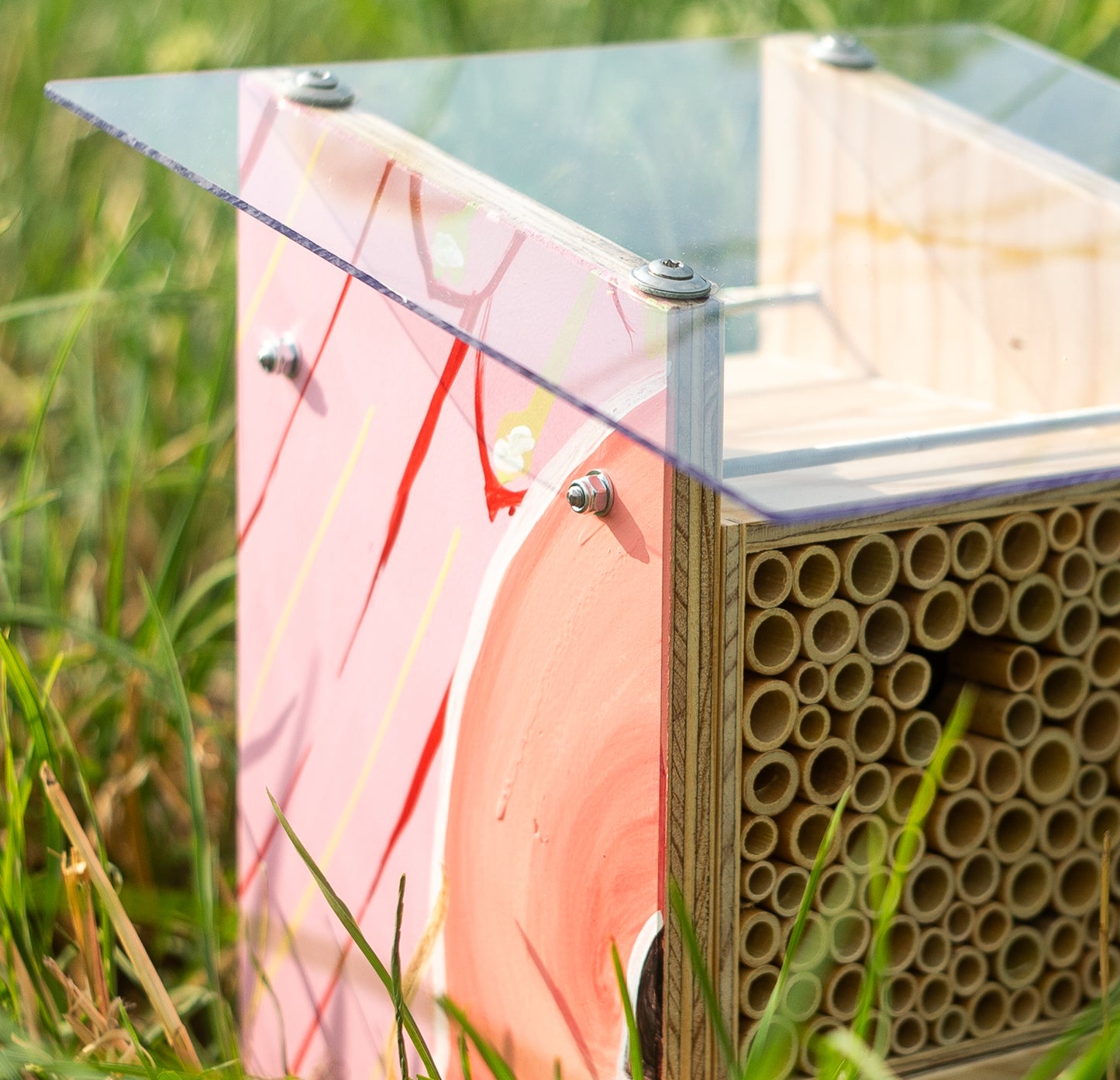 
                  
                    BeeHome Observateur
                  
                