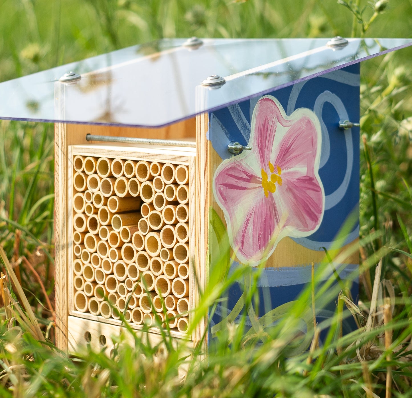 
                  
                    BeeHome Observateur
                  
                