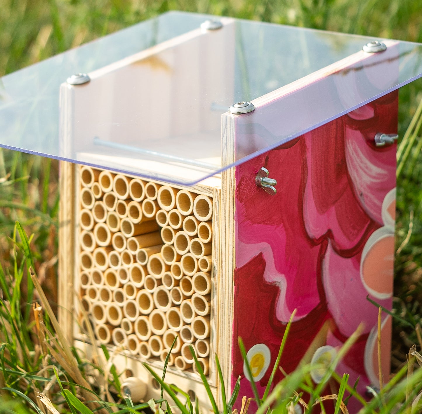 
                  
                    BeeHome Observateur
                  
                