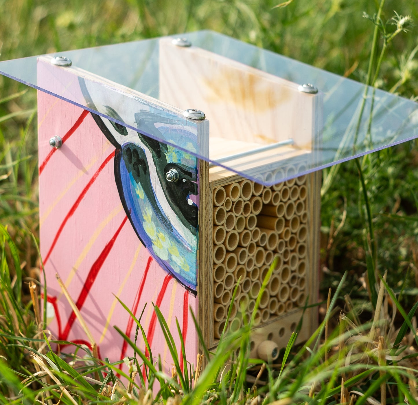 
                  
                    BeeHome Observateur
                  
                