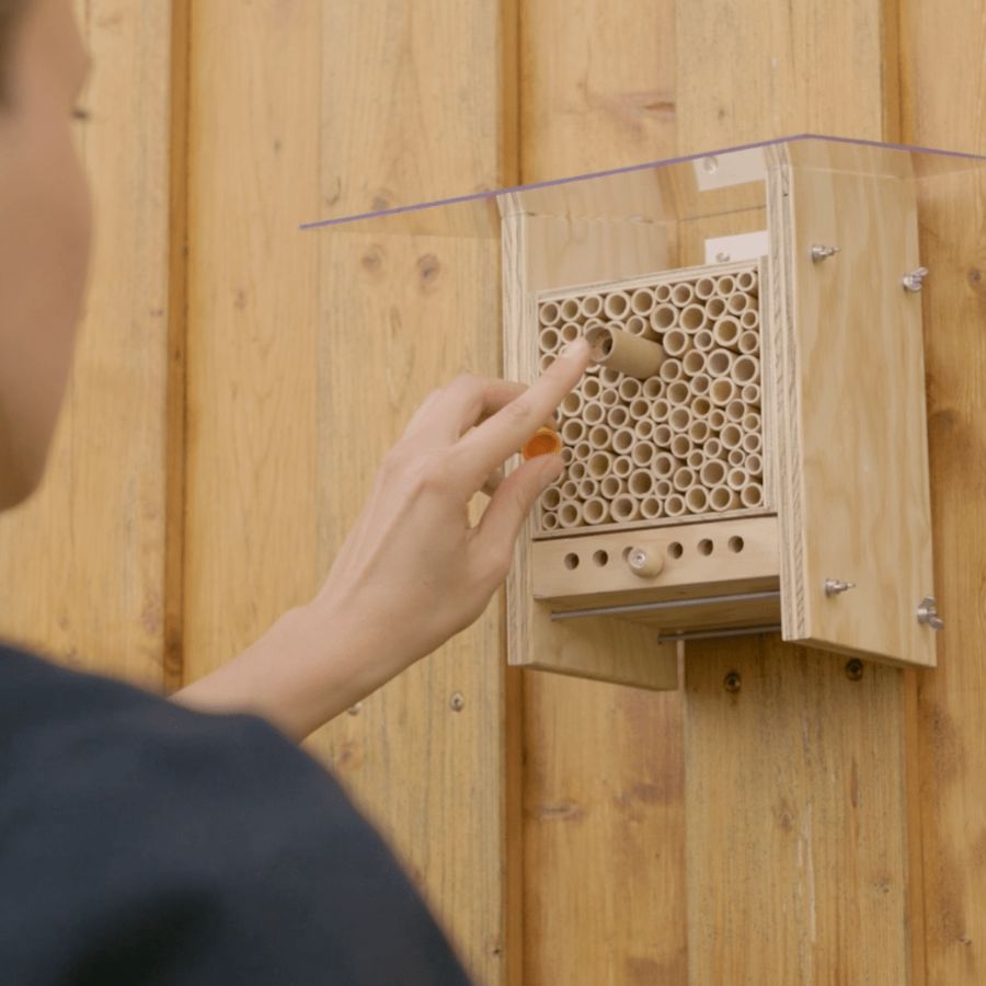 
                  
                    Bon pour des cocons d'abeilles maçonnes
                  
                