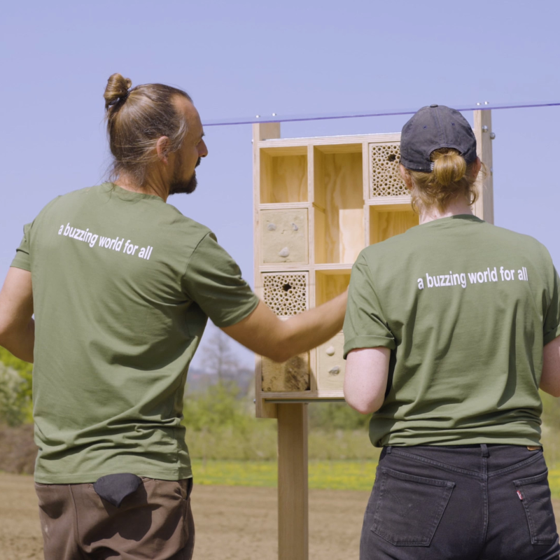 
                  
                    Beegnette 2026 - créer un espace de vie
                  
                