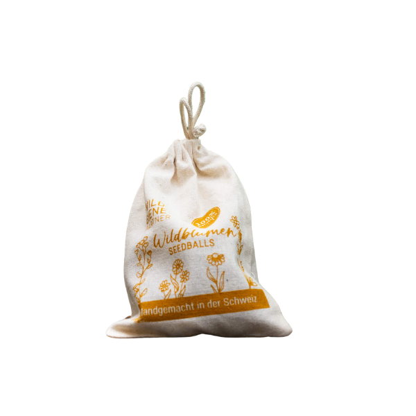 
                  
                    Boules de graines de fleurs sauvages
                  
                