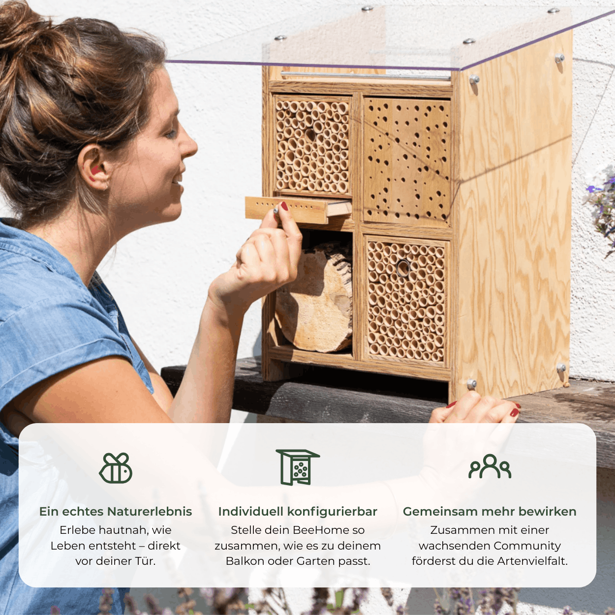 
                  
                    Kit BeeSummer : Nos best-sellers pour une biodiversité maximale
                  
                