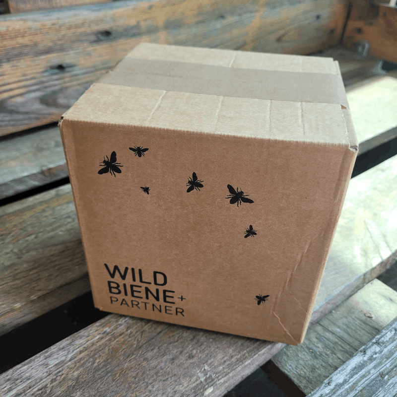 
                  
                    Carton d'expédition pour les soins aux abeilles sauvages
                  
                