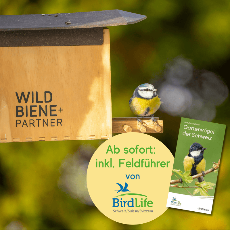Nichoir BirdSnack