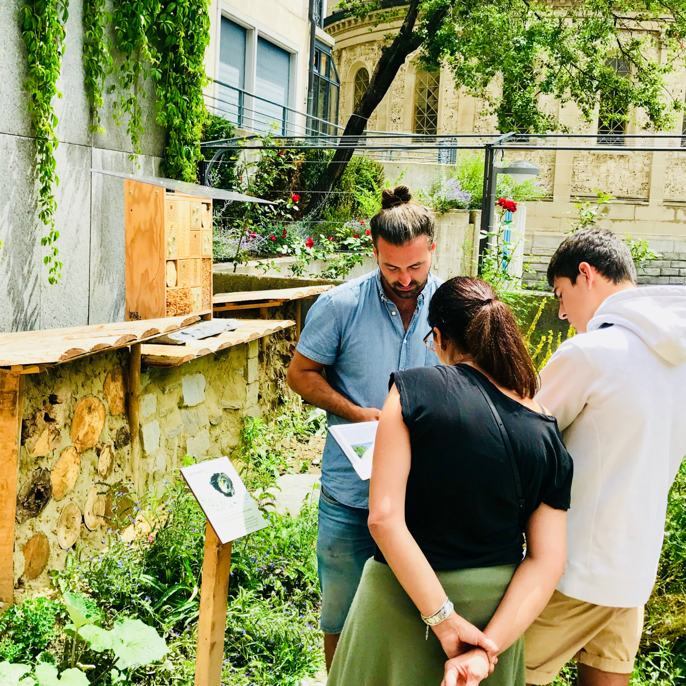 Sensibilisierung der Bevölkerung für Wildbienen und Wildblumen, Kritik Wildbiene und Partner von wildbee.ch