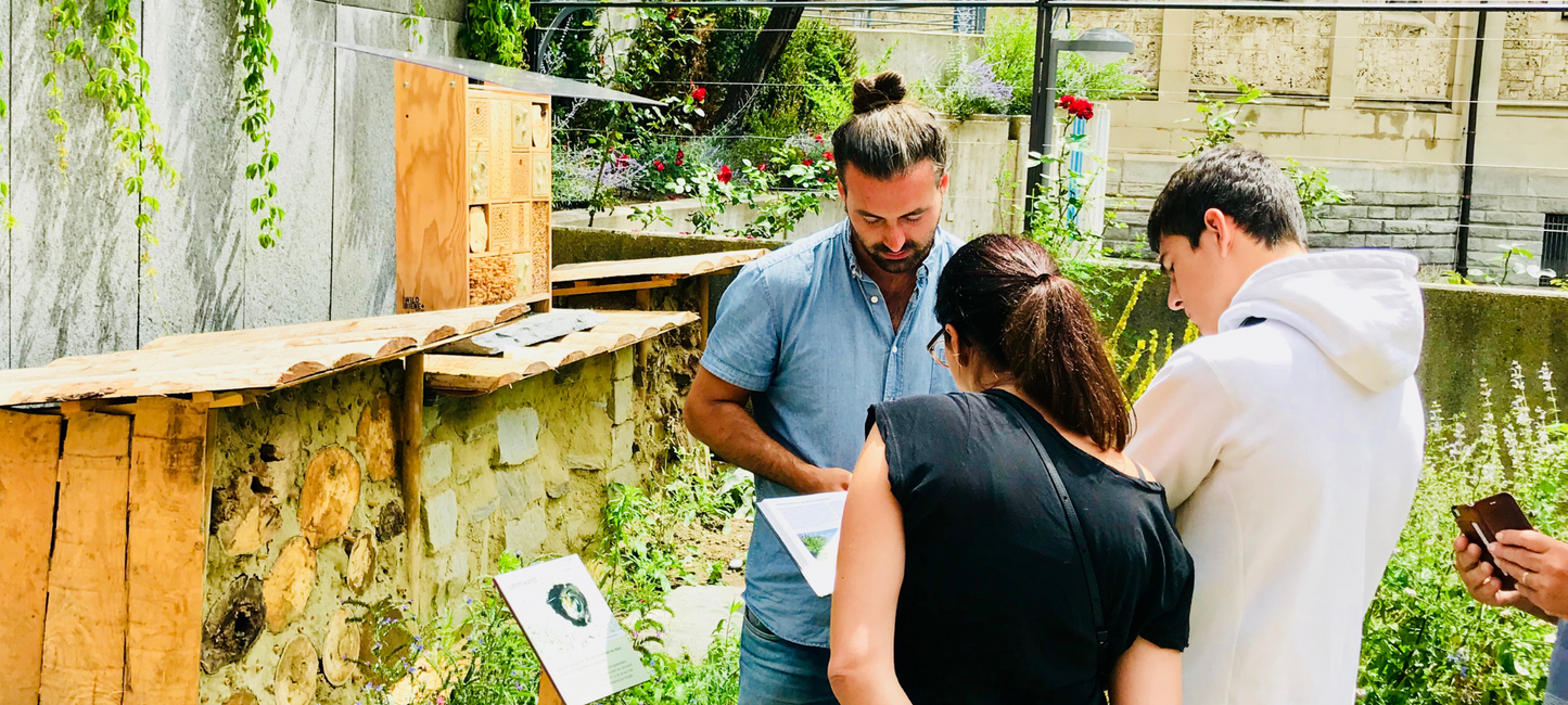 Sensibilisierung der Bevölkerung für Wildbienen und Wildblumen, Kritik Wildbiene und Partner von wildbee.ch
