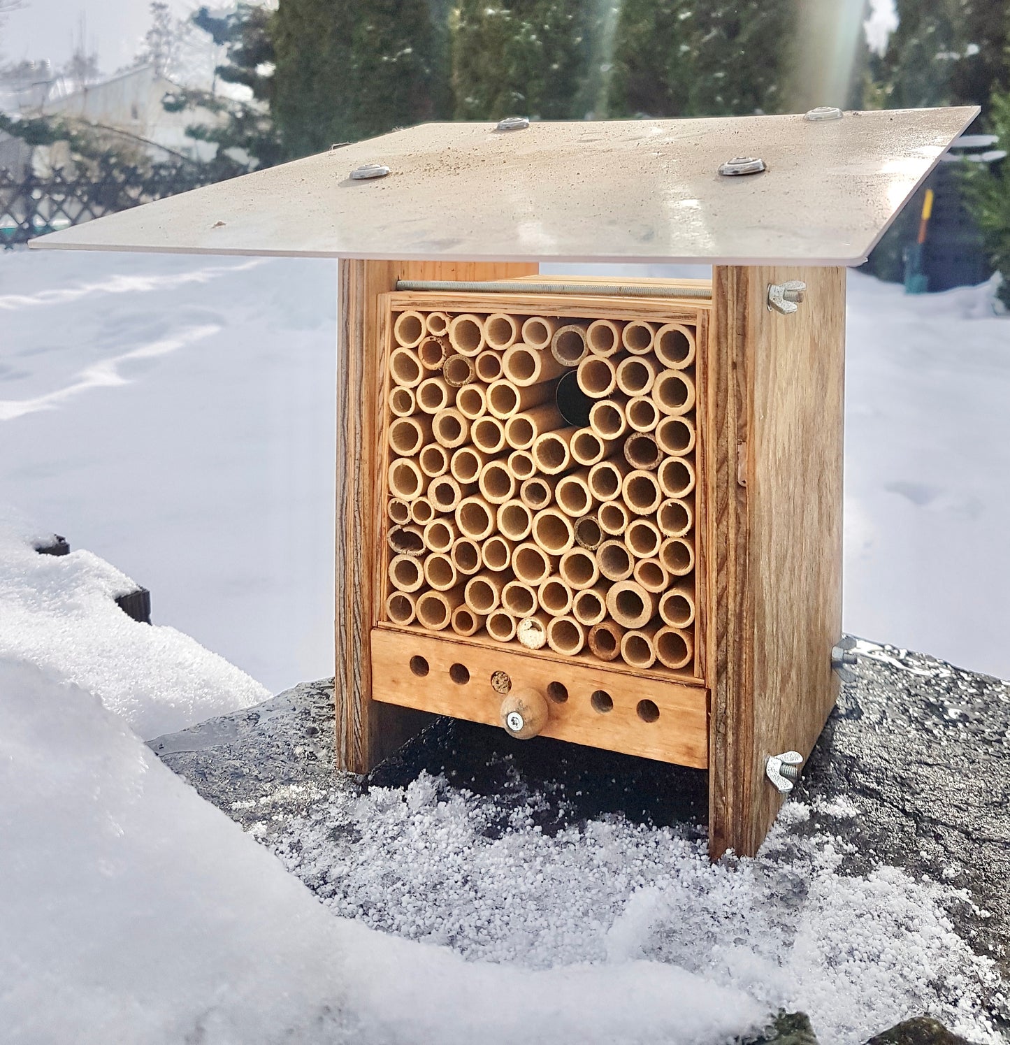7. Hivernation des abeilles sauvages dans le BeeHome