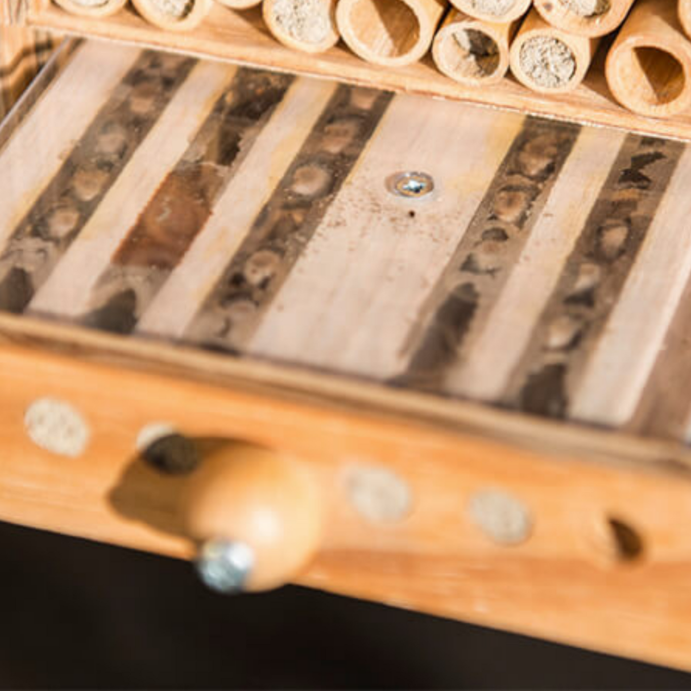 BeeHome Observer, Bienenhotel mit Schublade, Kritik Wildbiene und Partner von wildbee.ch