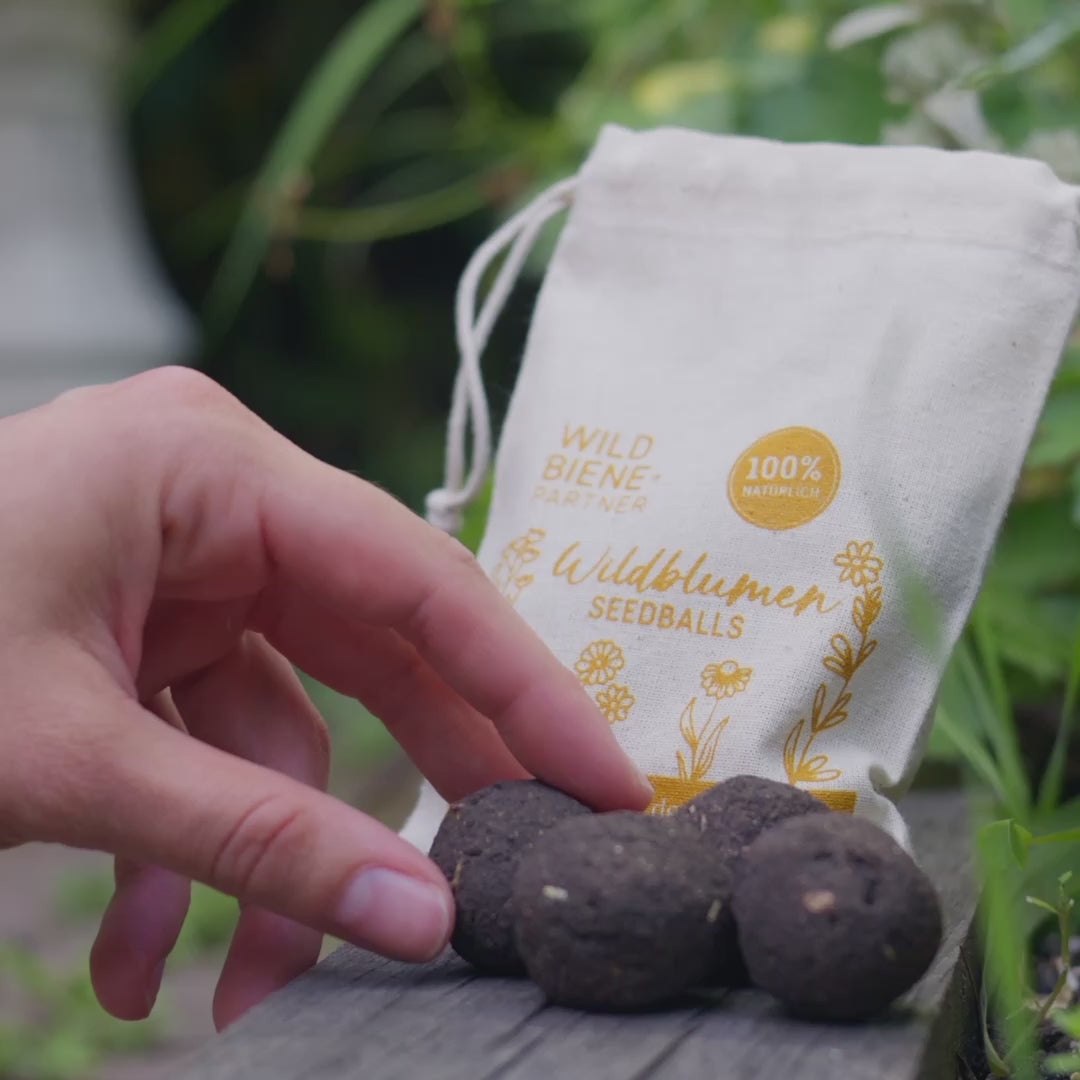 
                  
                    Charger et lire la vidéo dans la visionneuse de la Galerie, Boules de graines de fleurs sauvages
                  
                