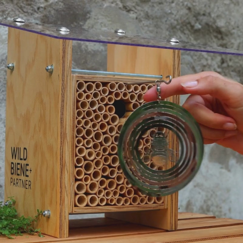 
                  
                    Charger et lire la vidéo dans la visionneuse de la Galerie, Protection des oiseaux BeeSafe
                  
                