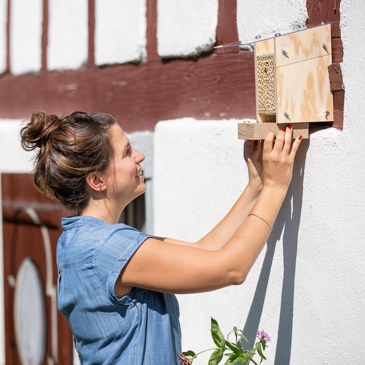 BeeSummer Bloc de nidification
