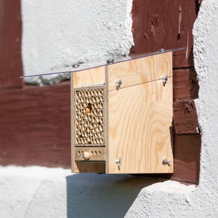 
                  
                    BeeHome Observateur
                  
                