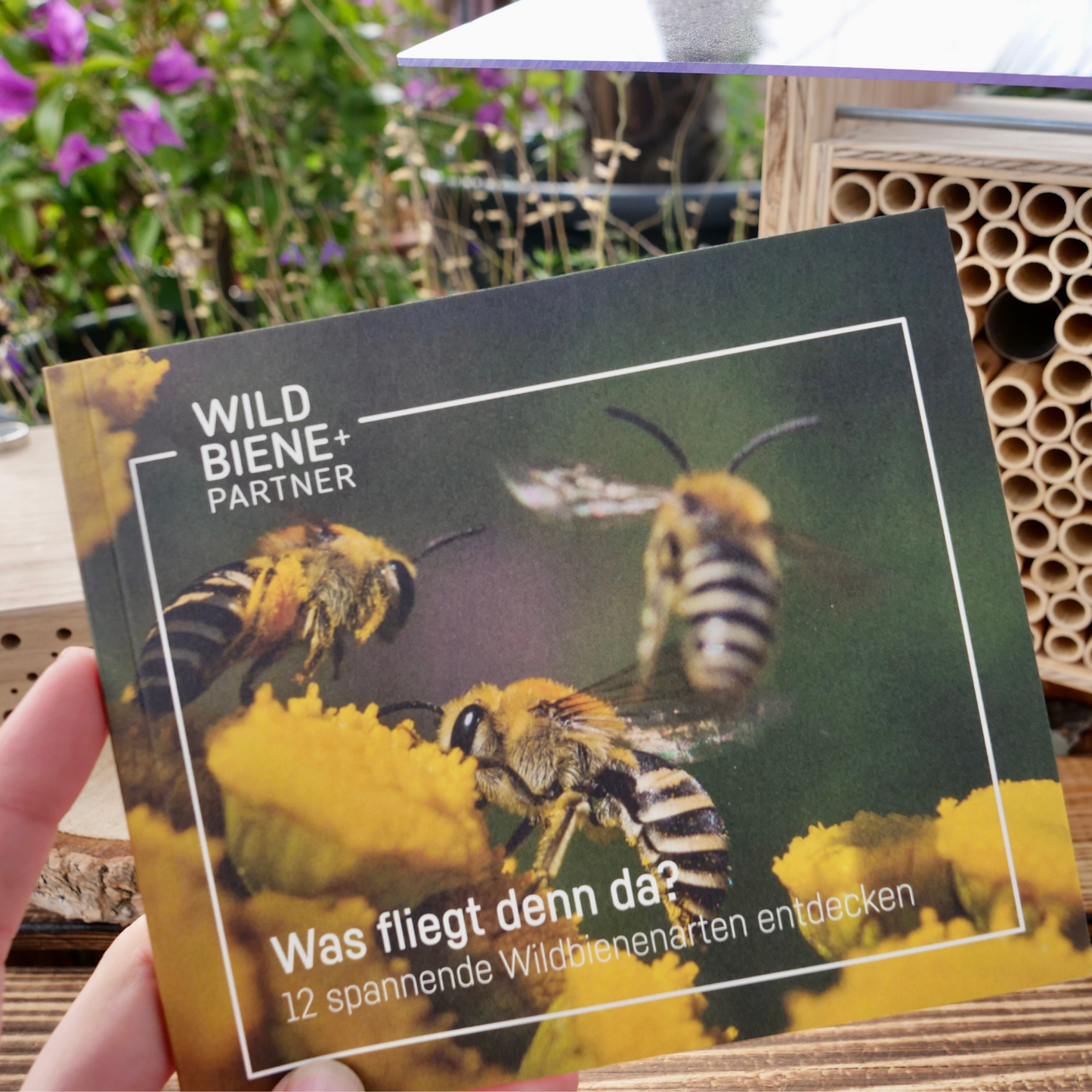 
                  
                    Livret d'abeilles sauvages
                  
                